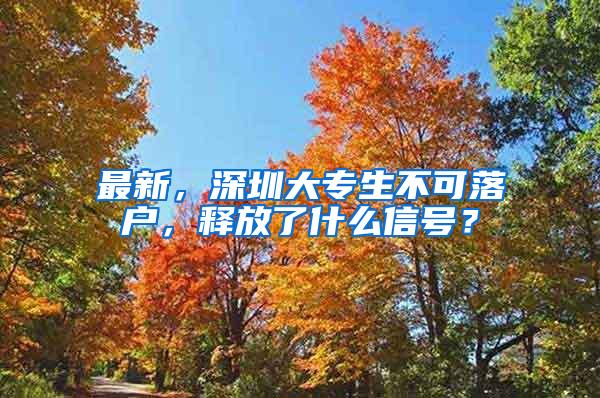 最新，深圳大专生不可落户，释放了什么信号？