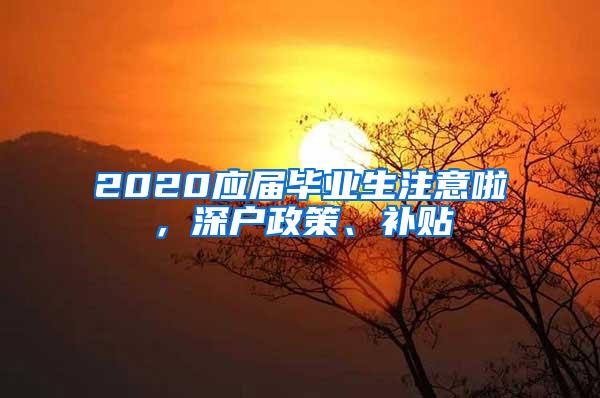 2020应届毕业生注意啦，深户政策、补贴