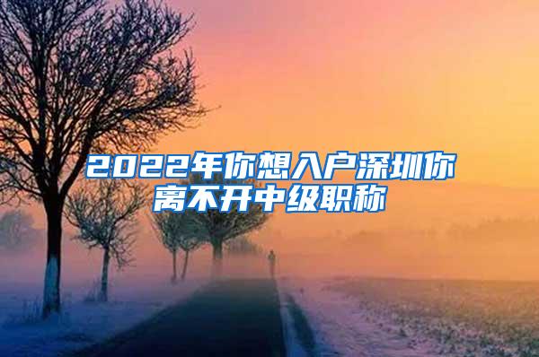 2022年你想入户深圳你离不开中级职称