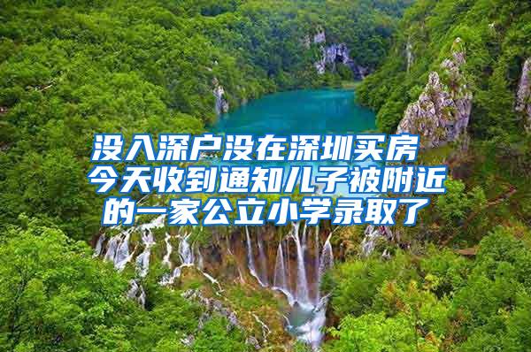 没入深户没在深圳买房 今天收到通知儿子被附近的一家公立小学录取了