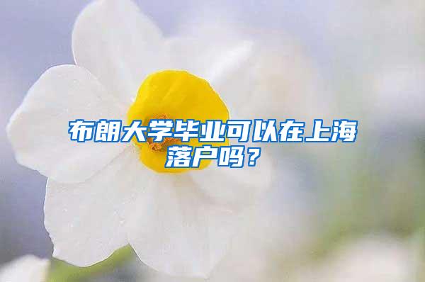 布朗大学毕业可以在上海落户吗？