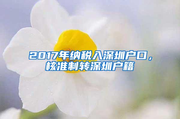 2017年纳税入深圳户口，核准制转深圳户籍