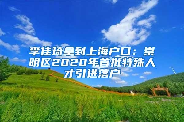 李佳琦拿到上海户口：崇明区2020年首批特殊人才引进落户