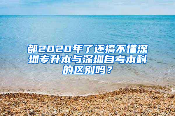 都2020年了还搞不懂深圳专升本与深圳自考本科的区别吗？