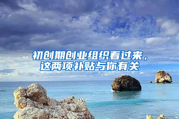 初创期创业组织看过来，这两项补贴与你有关