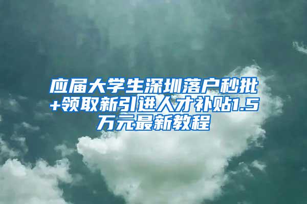 应届大学生深圳落户秒批+领取新引进人才补贴1.5万元最新教程