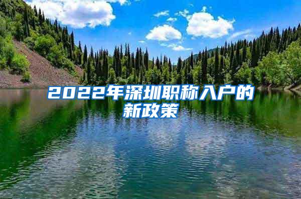 2022年深圳职称入户的新政策