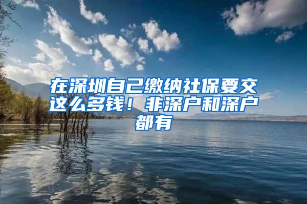 在深圳自己缴纳社保要交这么多钱！非深户和深户都有