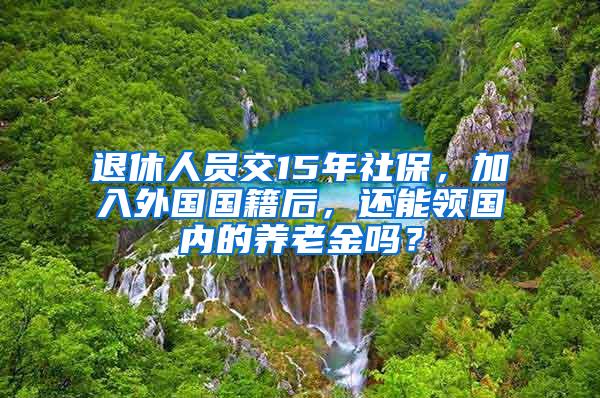 退休人员交15年社保，加入外国国籍后，还能领国内的养老金吗？