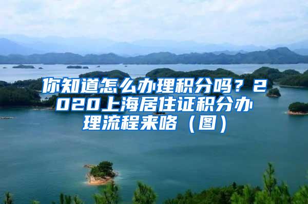 你知道怎么办理积分吗？2020上海居住证积分办理流程来咯（图）