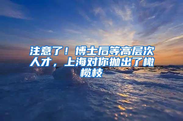 注意了！博士后等高层次人才，上海对你抛出了橄榄枝→