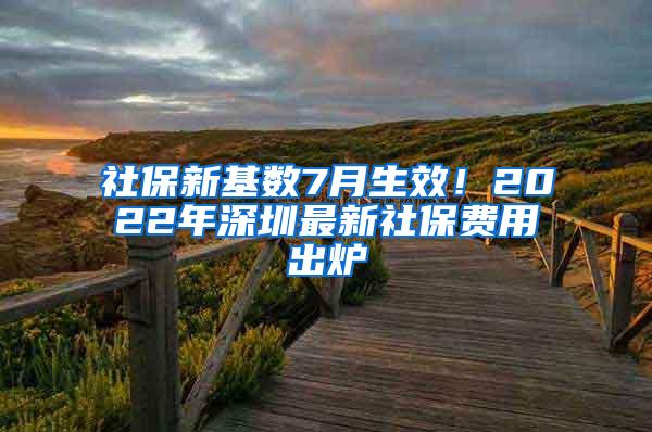 社保新基数7月生效！2022年深圳最新社保费用出炉