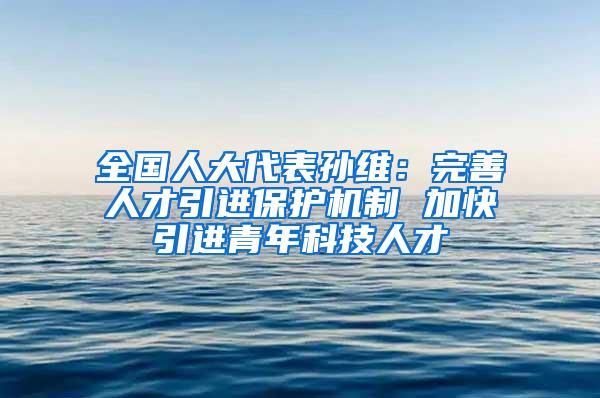 全国人大代表孙维：完善人才引进保护机制 加快引进青年科技人才