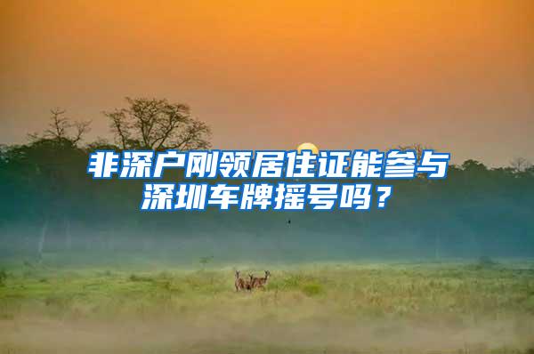 非深户刚领居住证能参与深圳车牌摇号吗？