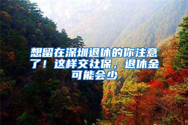 想留在深圳退休的你注意了！这样交社保，退休金可能会少