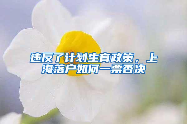 违反了计划生育政策，上海落户如何一票否决