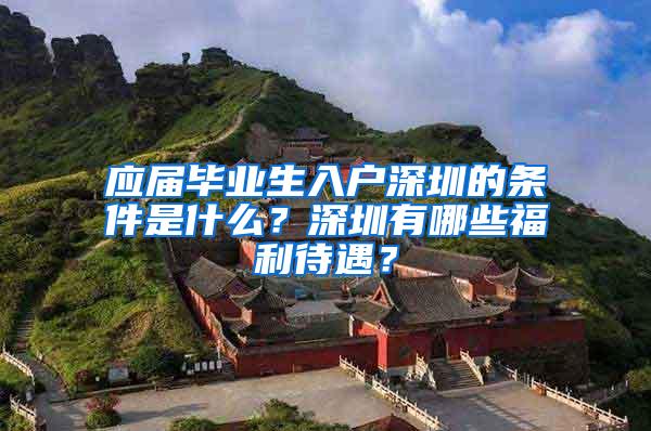 应届毕业生入户深圳的条件是什么？深圳有哪些福利待遇？