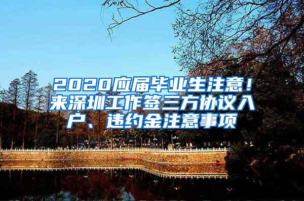 2020应届毕业生注意！来深圳工作签三方协议入户、违约金注意事项