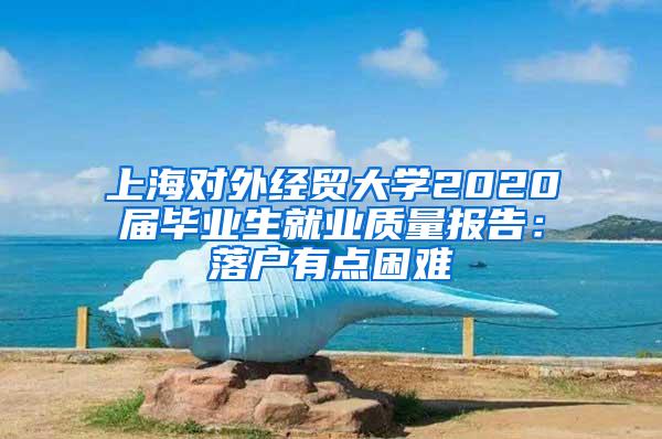 上海对外经贸大学2020届毕业生就业质量报告：落户有点困难