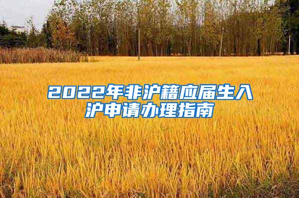 2022年非沪籍应届生入沪申请办理指南