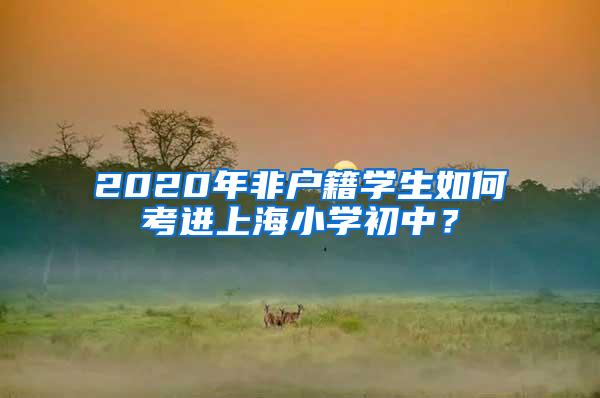 2020年非户籍学生如何考进上海小学初中？