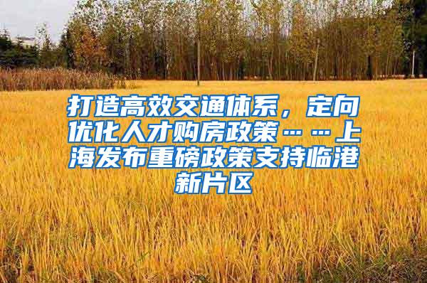 打造高效交通体系，定向优化人才购房政策……上海发布重磅政策支持临港新片区