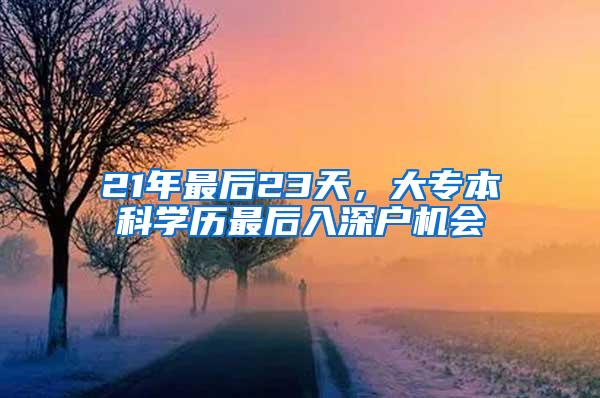 21年最后23天，大专本科学历最后入深户机会