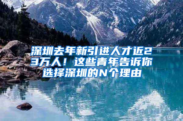 深圳去年新引进人才近23万人！这些青年告诉你选择深圳的N个理由