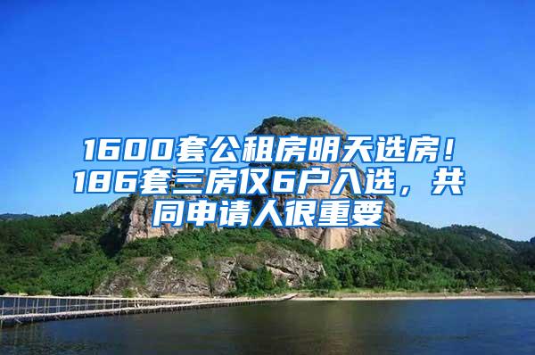 1600套公租房明天选房！186套三房仅6户入选，共同申请人很重要