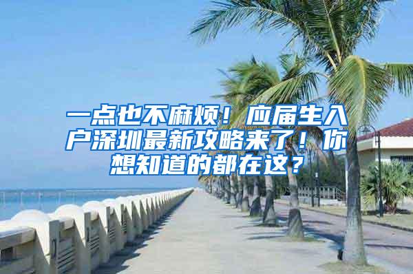 一点也不麻烦！应届生入户深圳最新攻略来了！你想知道的都在这？