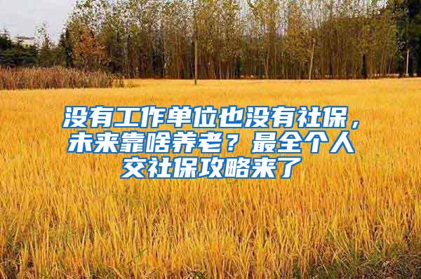 没有工作单位也没有社保，未来靠啥养老？最全个人交社保攻略来了