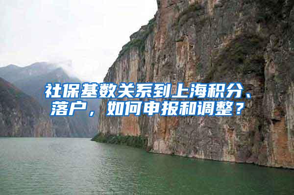 社保基数关系到上海积分、落户，如何申报和调整？