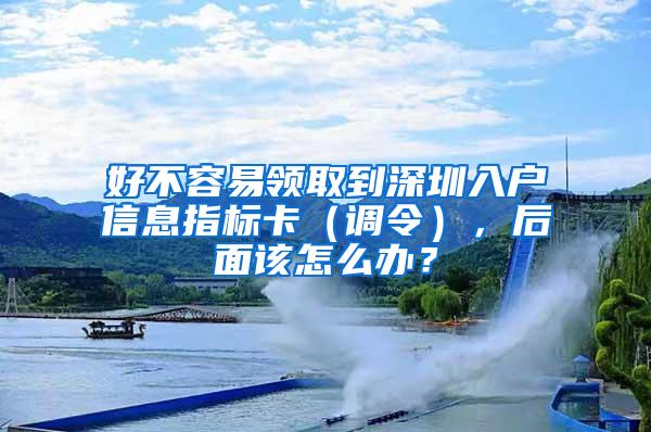 好不容易领取到深圳入户信息指标卡（调令），后面该怎么办？