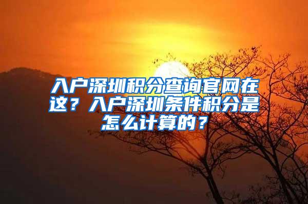 入户深圳积分查询官网在这？入户深圳条件积分是怎么计算的？