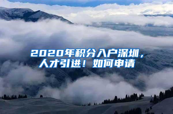 2020年积分入户深圳，人才引进！如何申请