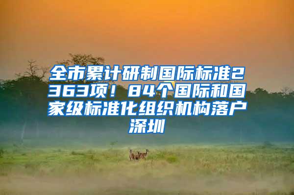 全市累计研制国际标准2363项！84个国际和国家级标准化组织机构落户深圳