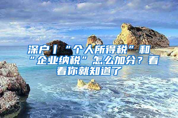 深户丨“个人所得税”和“企业纳税”怎么加分？看看你就知道了