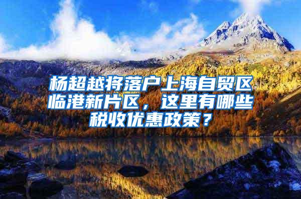 杨超越将落户上海自贸区临港新片区，这里有哪些税收优惠政策？