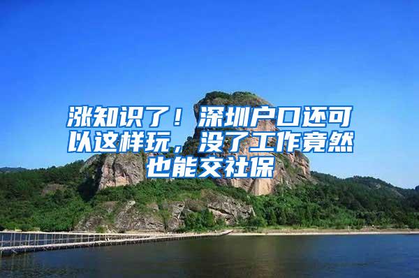 涨知识了！深圳户口还可以这样玩，没了工作竟然也能交社保