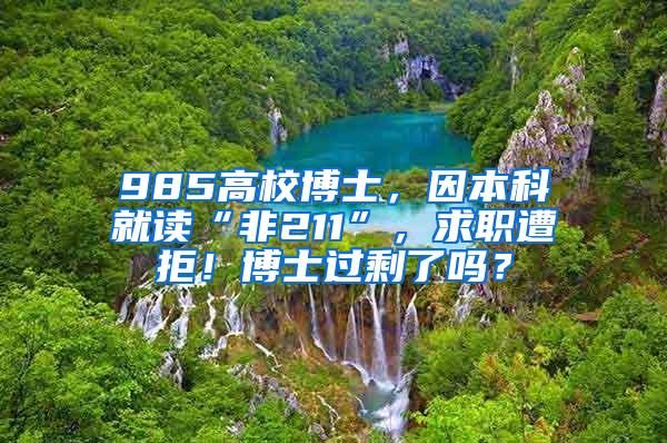 985高校博士，因本科就读“非211”，求职遭拒！博士过剩了吗？