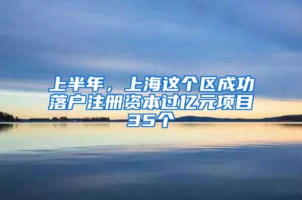 上半年，上海这个区成功落户注册资本过亿元项目35个