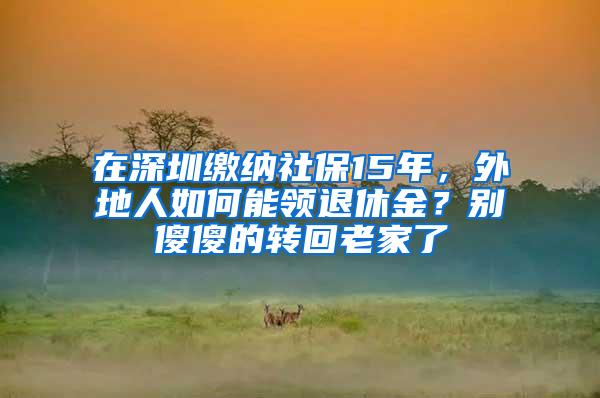 在深圳缴纳社保15年，外地人如何能领退休金？别傻傻的转回老家了