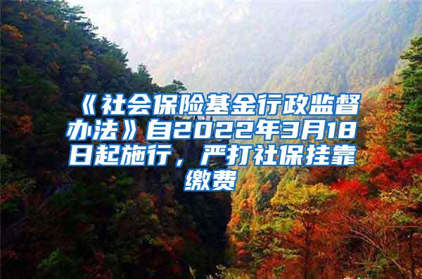 《社会保险基金行政监督办法》自2022年3月18日起施行，严打社保挂靠缴费