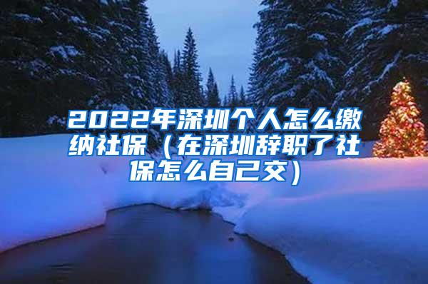 2022年深圳个人怎么缴纳社保（在深圳辞职了社保怎么自己交）