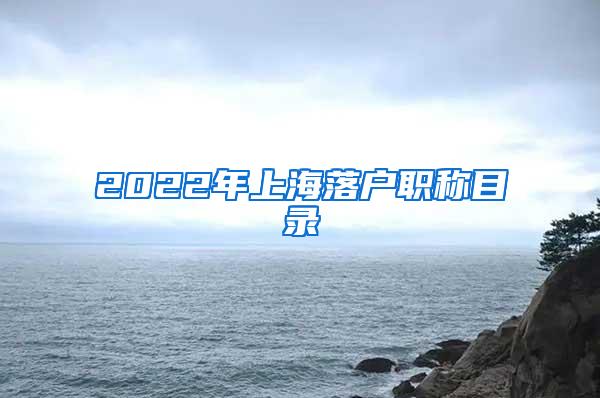 2022年上海落户职称目录