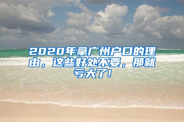 2020年拿广州户口的理由，这些好处不要，那就亏大了!