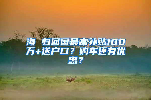 海 归回国最高补贴100万+送户口？购车还有优惠？