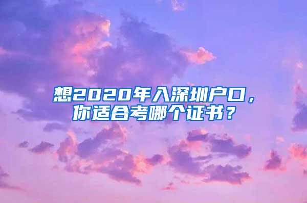 想2020年入深圳户口，你适合考哪个证书？