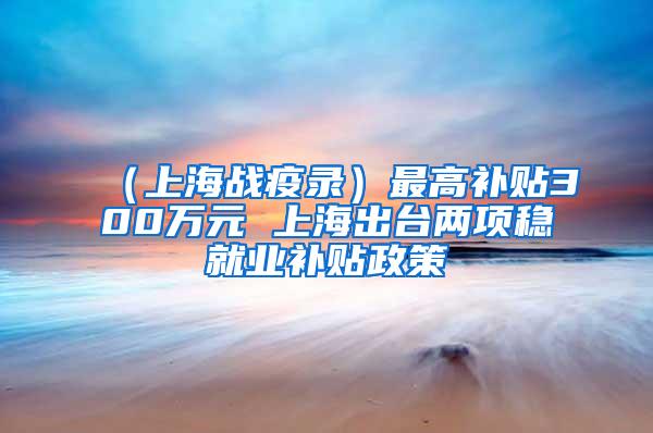 （上海战疫录）最高补贴300万元 上海出台两项稳就业补贴政策