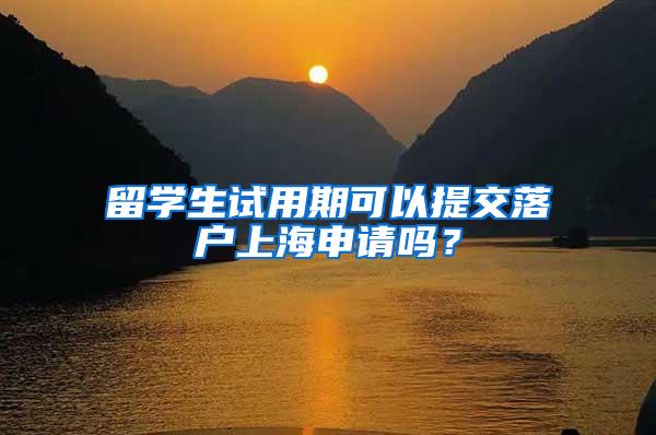 留学生试用期可以提交落户上海申请吗？